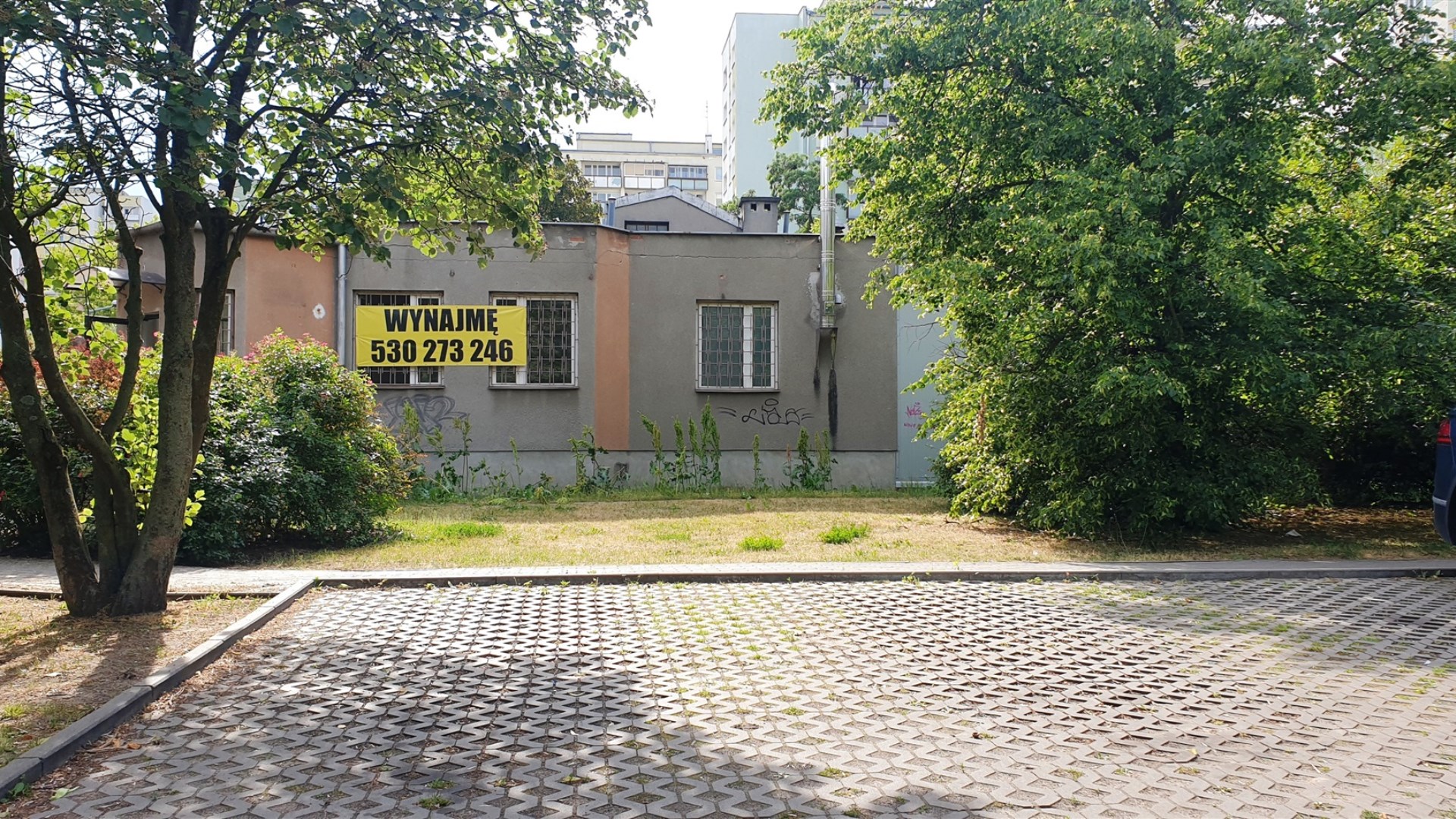 Lokal na wynajem